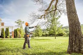 Best Arborist Consultation Services  in East Hemet, CA